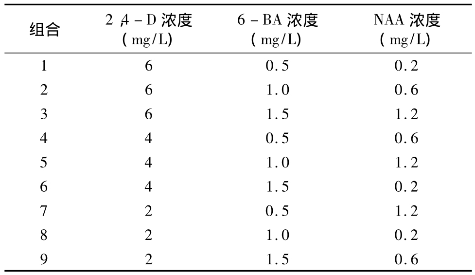 柳枝稷種子黄瓜视频成人版快繁技術