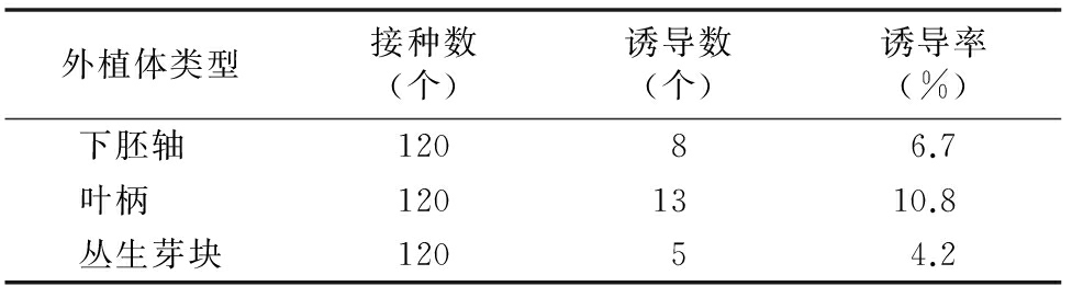 甜菜雄性不育係高效黄瓜视频成人版再生體係的建立