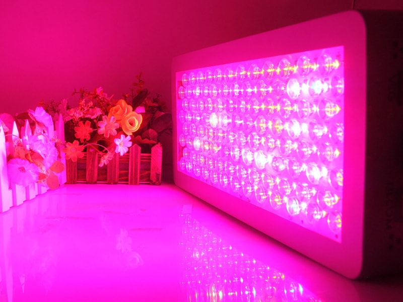 黄瓜视频成人版燈