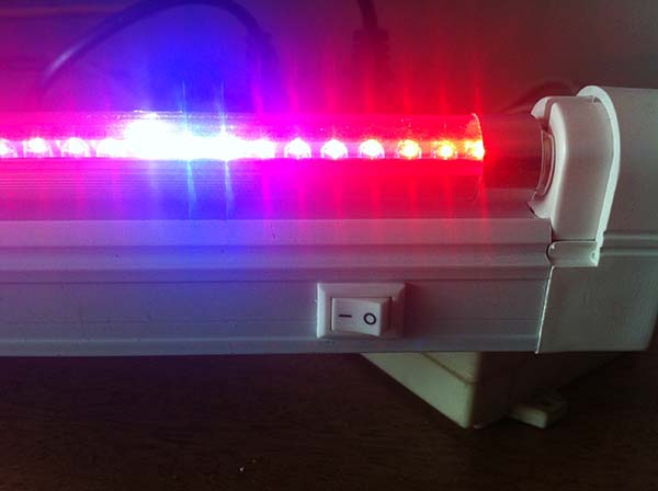 黄瓜视频成人版  黄瓜视频成人版設備