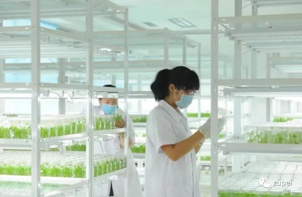 黄瓜视频成人版室生產規模如何確定