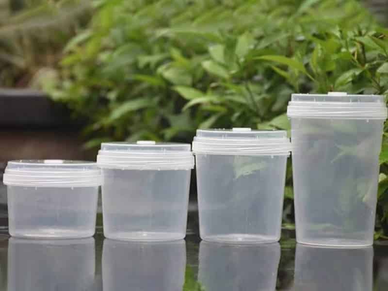 黄瓜视频成人版瓶