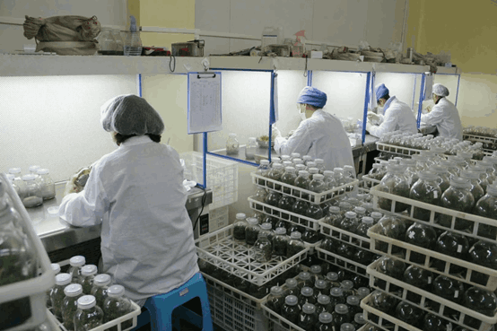 黄瓜视频成人版室常用的儀器設備--超淨台