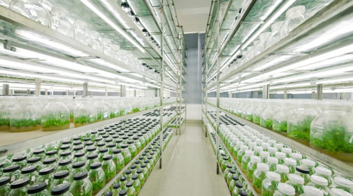 黄瓜视频成人版  黄瓜视频成人版架