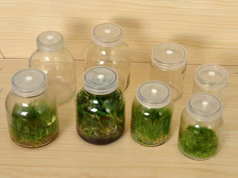 黄瓜视频成人版瓶