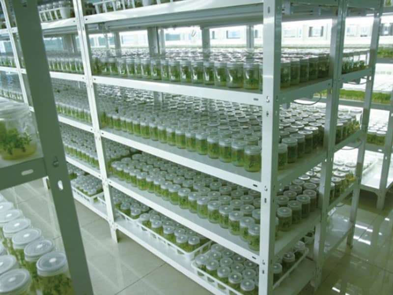 黄瓜视频成人版  黄瓜视频成人版設備