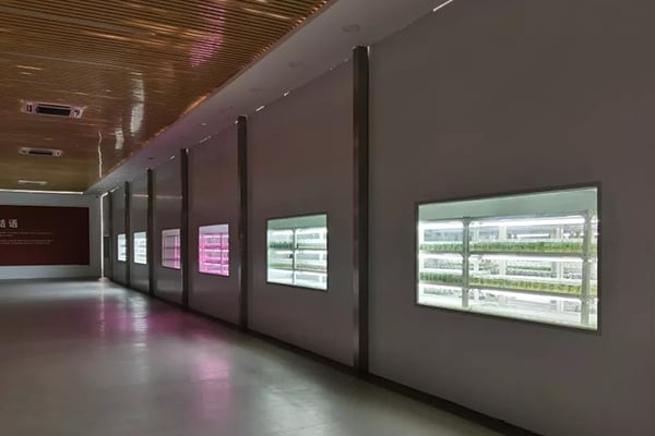 黄瓜视频成人版  黄瓜视频成人版室