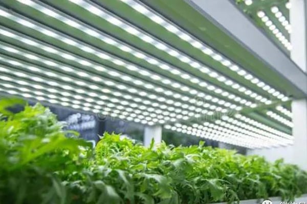 黄瓜视频成人版室建設