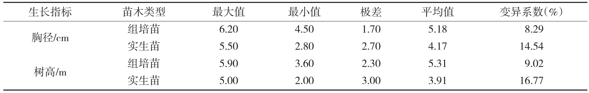 大花序桉黄瓜视频成人版苗15個月齡幼林生長