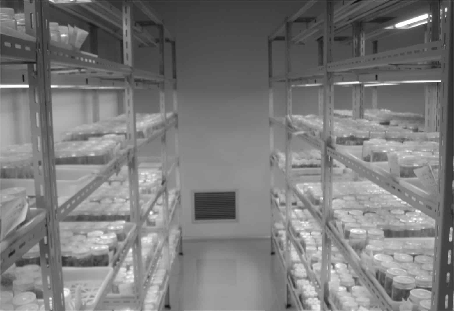 黄瓜视频成人版生產智能化的應用前景