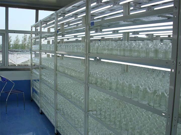 想要培育好幼苗，首先你要了解光照培養架的使用方法!