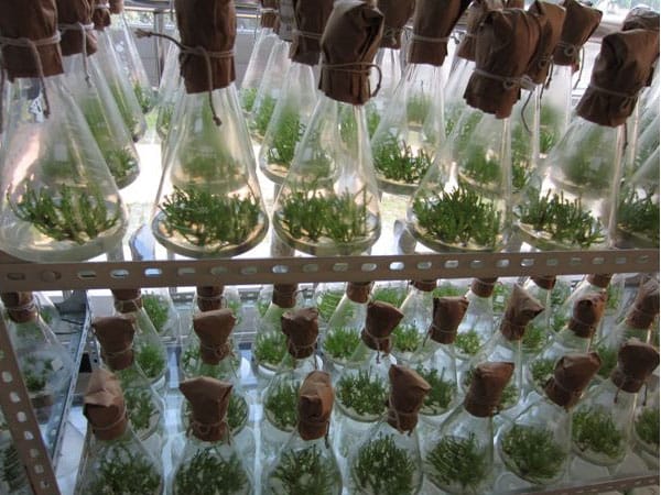 黄瓜视频成人版  黄瓜视频成人版室