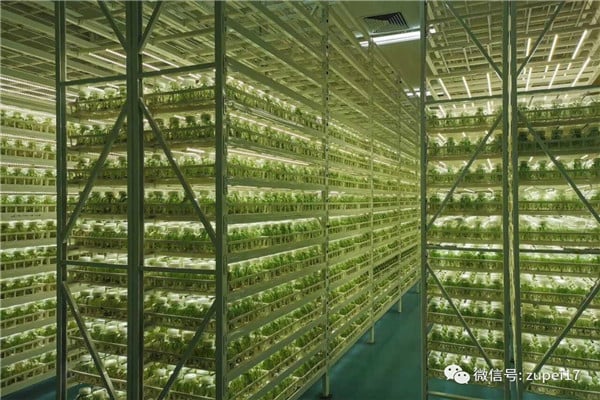 黄瓜视频成人版儀器設備&mdash;&mdash;臥式矩形滅菌器