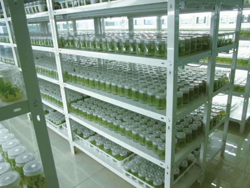 黄瓜视频成人版  黄瓜视频成人版設備