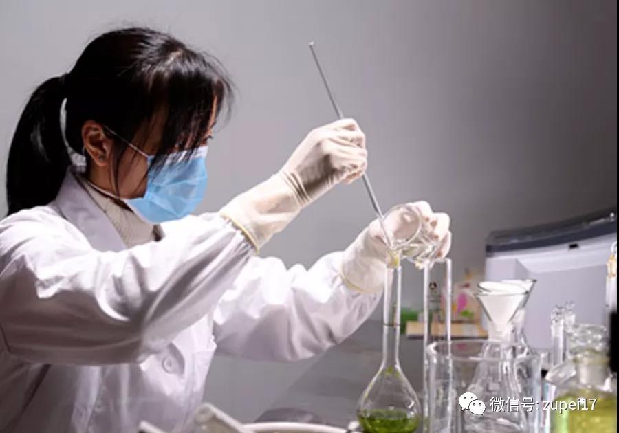 黄瓜视频成人版