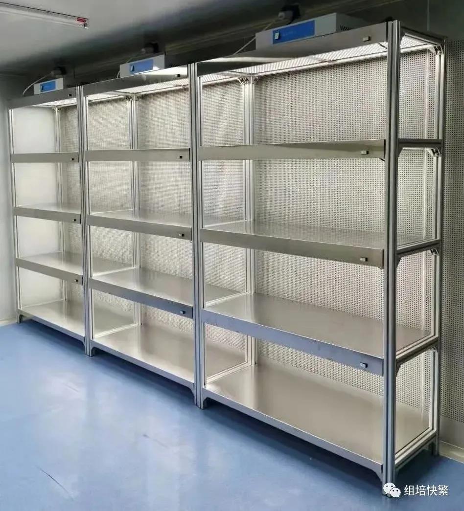 黄瓜视频成人版架，培養架，植物黄瓜视频成人版架，黄瓜视频成人版室設備