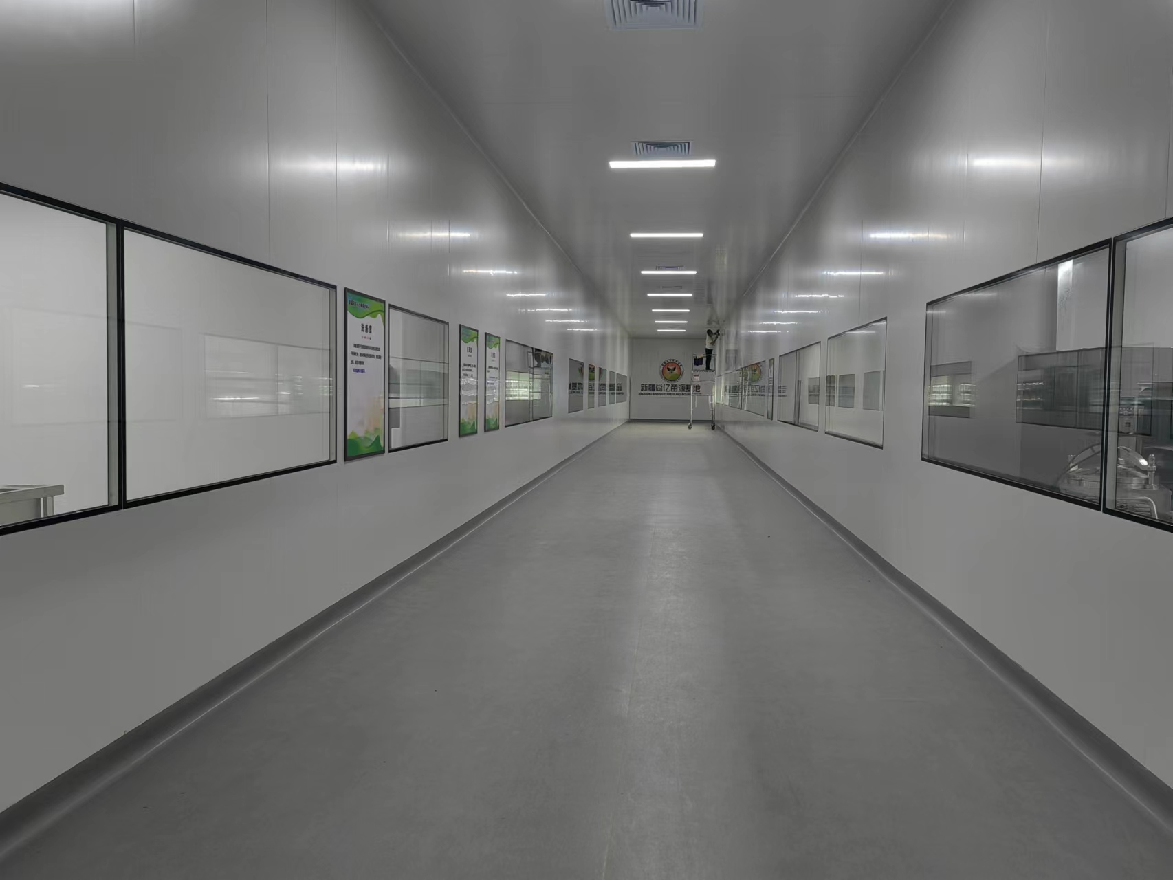 黄瓜视频成人版室淨化預算